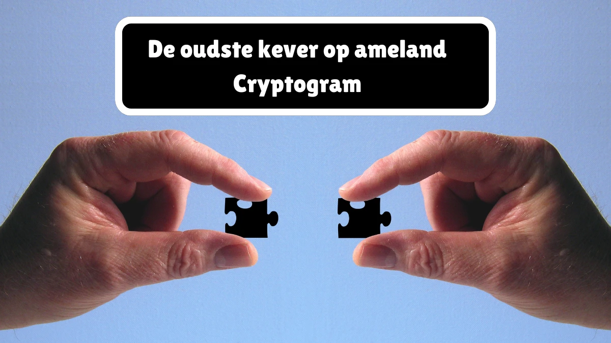 De oudste kever op ameland Cryptogram 6 Letters Puzzelwoordenboek kruiswoordpuzzels