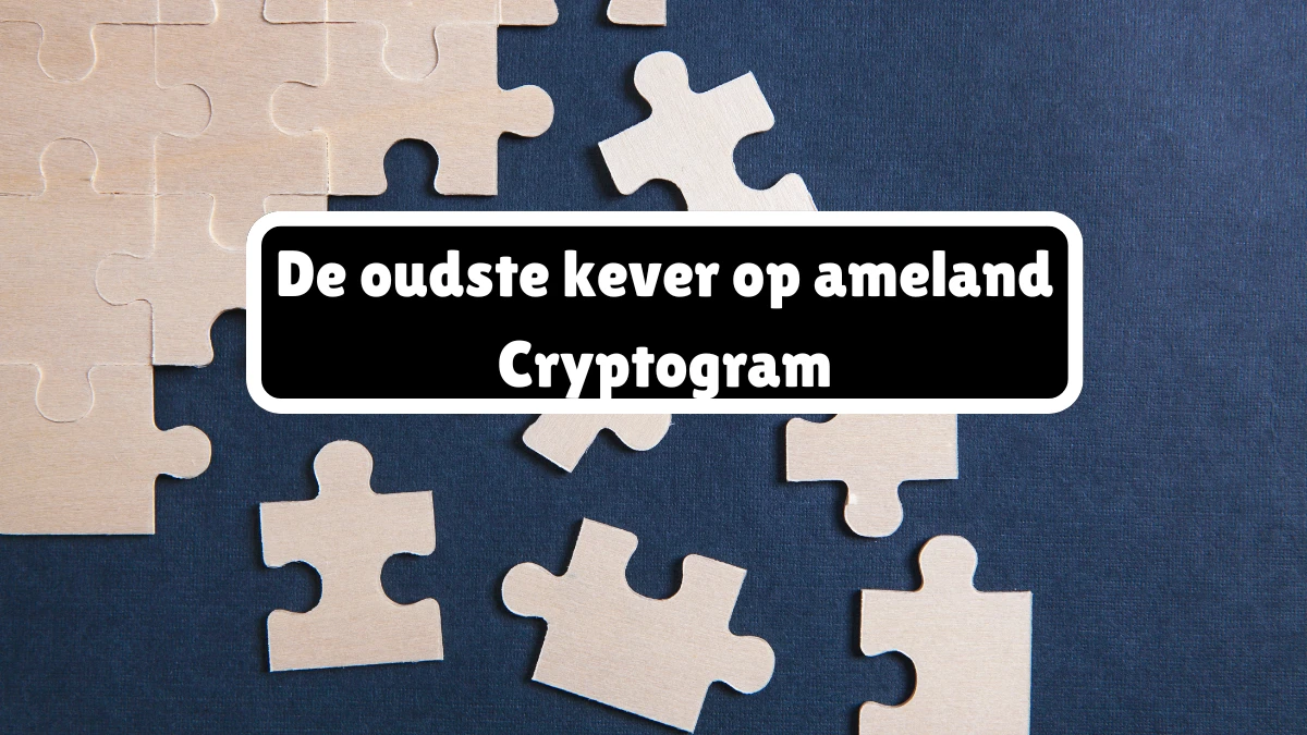 De oudste kever op ameland Cryptogram 6 Letters Puzzelwoordenboek kruiswoordpuzzels