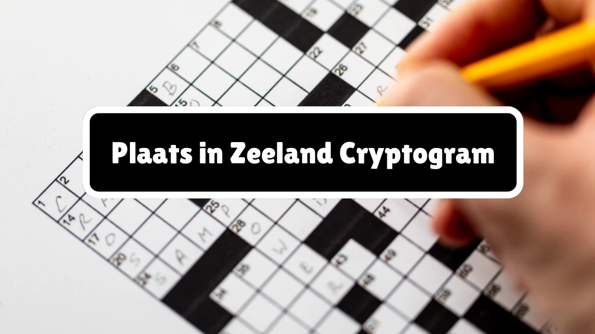 Plaats in Zeeland Cryptogram 10 Letters Puzzelwoordenboek kruiswoordpuzzels