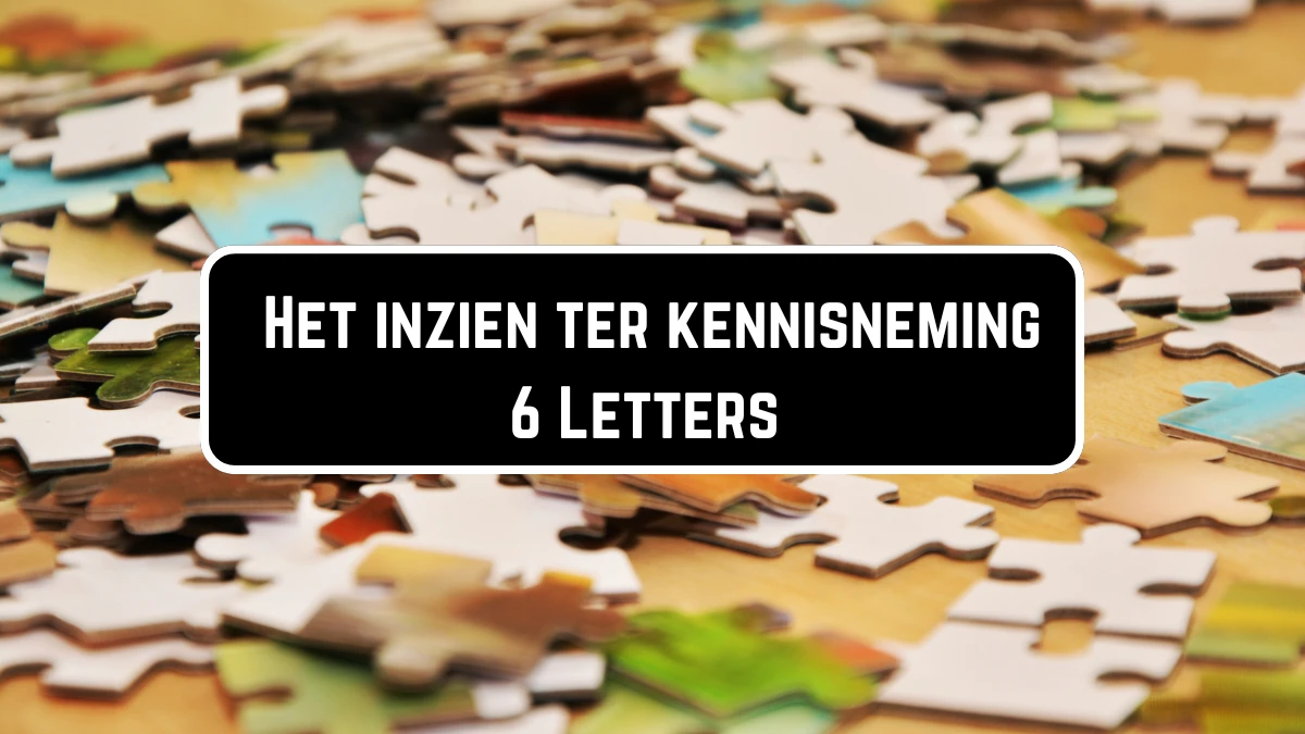 Het inzien ter kennisneming 6 Letters Puzzelwoordenboek kruiswoordpuzzels