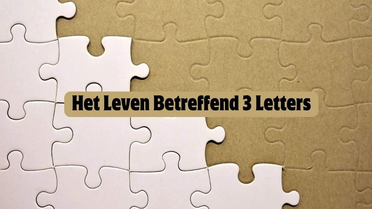 Het Leven Betreffend 3 Letters Puzzelwoordenboek kruiswoordpuzzels