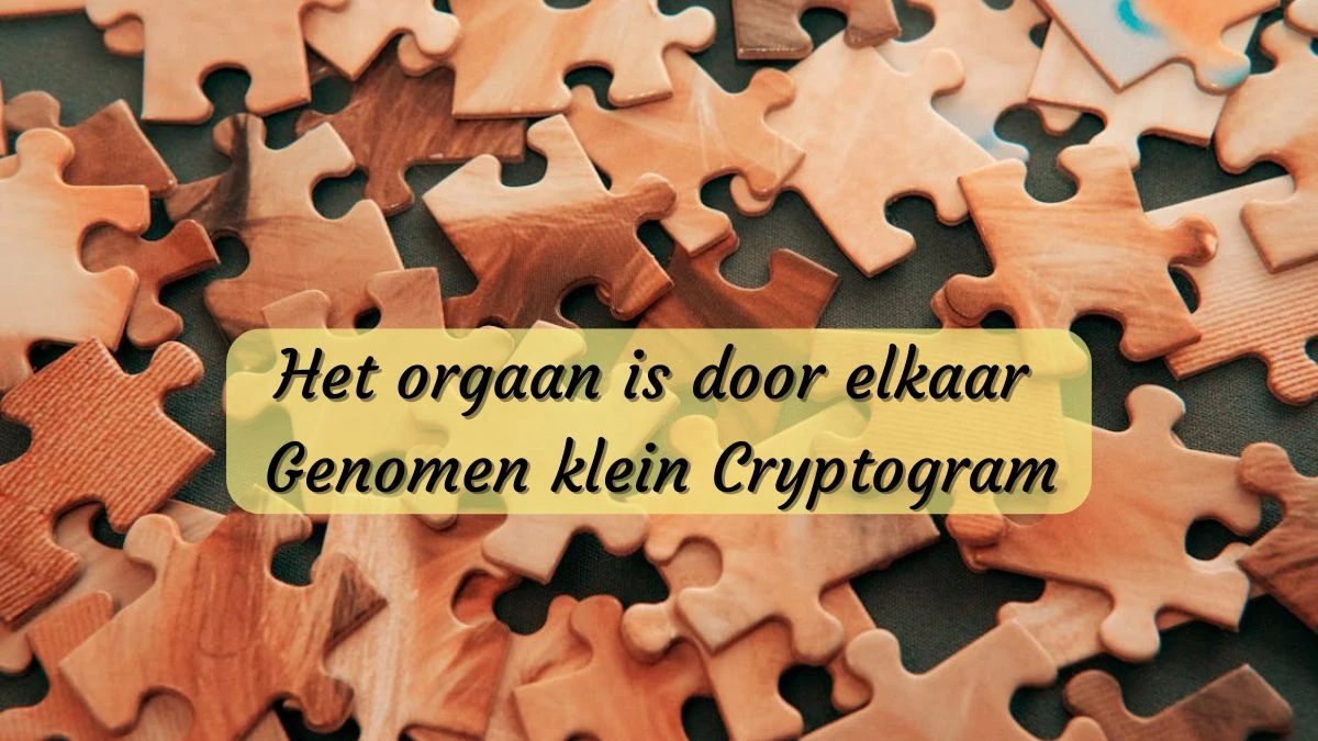 Het orgaan is door elkaar genomen klein Cryptogram 5 Letters Puzzelwoordenboek kruiswoordpuzzels