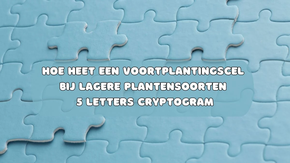 Hoe heet een voortplantingscel bij lagere plantensoorten 5 Letters Cryptogram Puzzelwoordenboek kruiswoordpuzzels