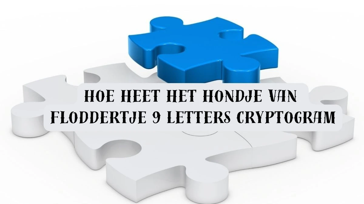 Hoe heet het hondje van floddertje 9 Letters Cryptogram Puzzelwoordenboek kruiswoordpuzzels