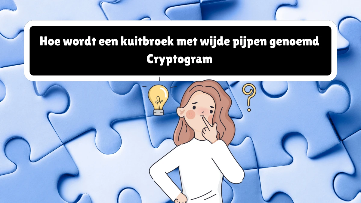 Hoe wordt een kuitbroek met wijde pijpen genoemd Cryptogram 7 Letters Puzzelwoordenboek kruiswoordpuzzels