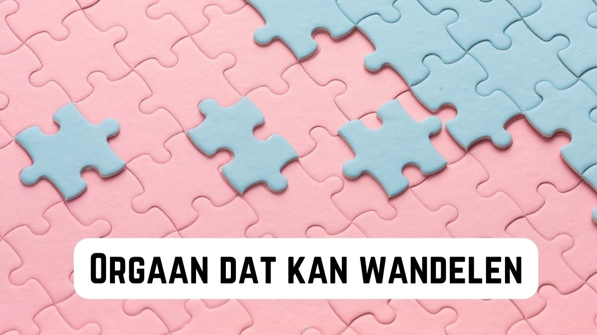 Orgaan dat kan wandelen 4 Letters Puzzelwoordenboek kruiswoordpuzzels