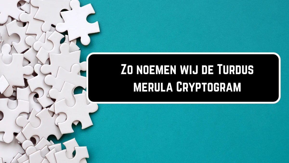 Zo noemen wij de Turdus merula Cryptogram 9 Letters Puzzelwoordenboek kruiswoordpuzzels