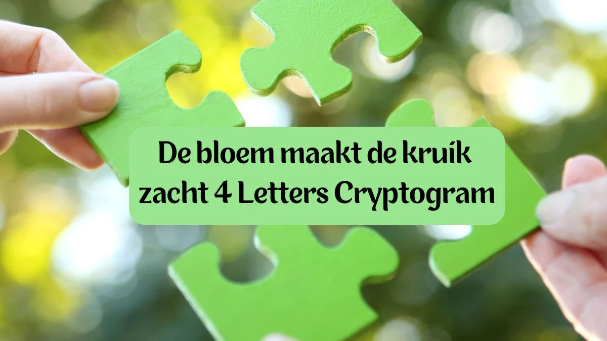 De bloem maakt de kruik zacht 4 Letters Cryptogram Puzzelwoordenboek kruiswoordpuzzels
