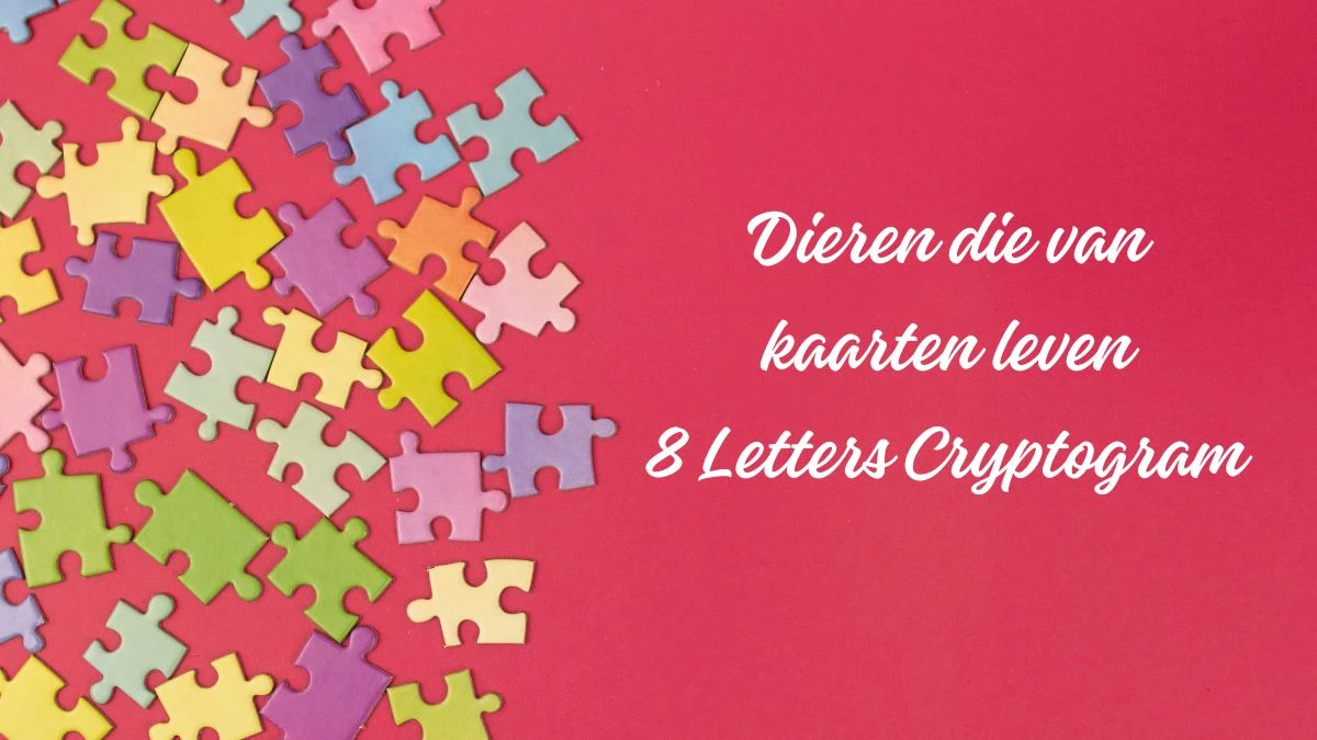 Dieren die van kaarten leven 8 Letters Cryptogram Puzzelwoordenboek kruiswoordpuzzels