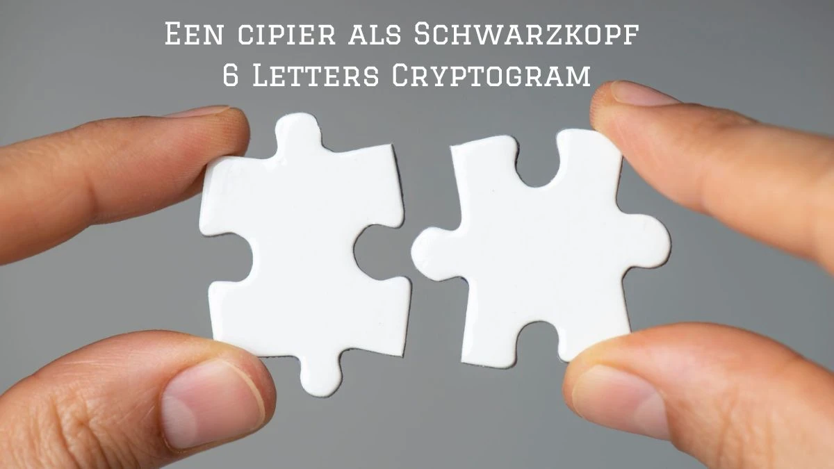 Een cipier als Schwarzkopf 6 Letters Cryptogram Puzzelwoordenboek kruiswoordpuzzels