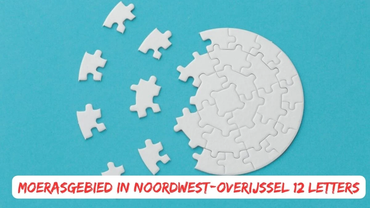 Moerasgebied in Noordwest-Overijssel 12 Letters Puzzelwoordenboek kruiswoordpuzzels