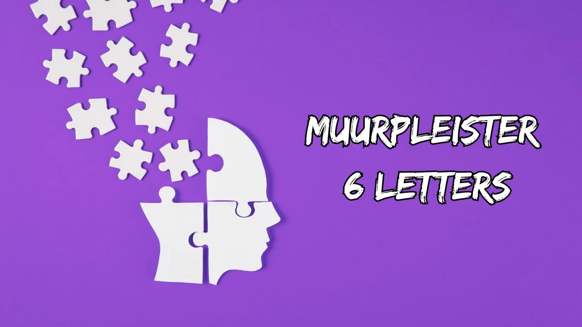 Muurpleister 6 Letters Puzzelwoordenboek kruiswoordpuzzels