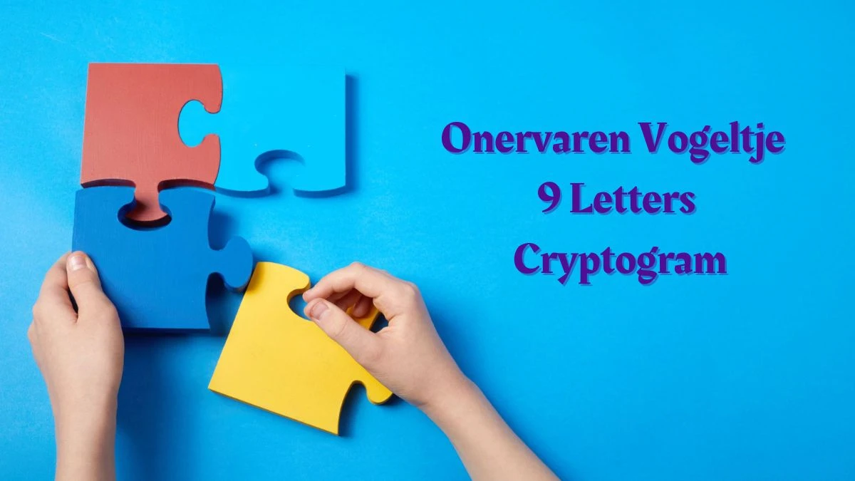 Onervaren Vogeltje 9 Letters Cryptogram Puzzelwoordenboek kruiswoordpuzzels