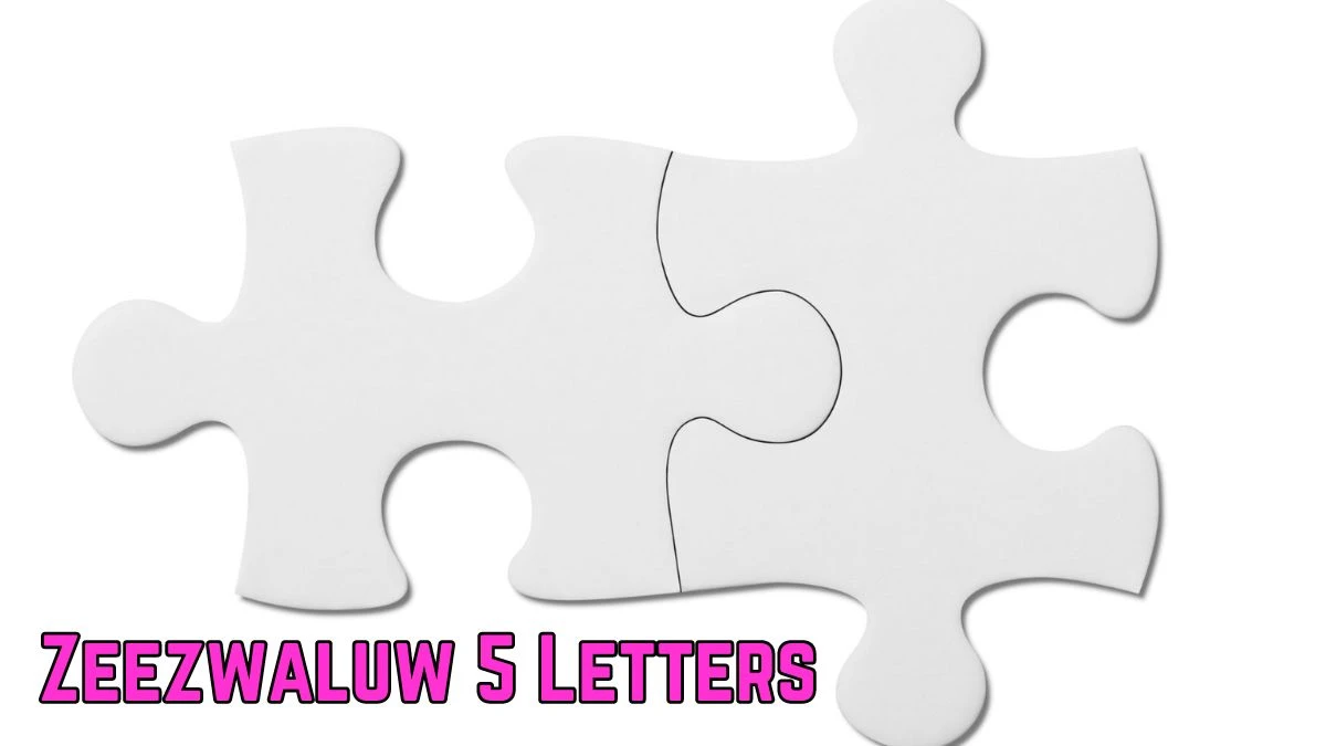 Zeezwaluw 5 Letters Puzzelwoordenboek kruiswoordpuzzels