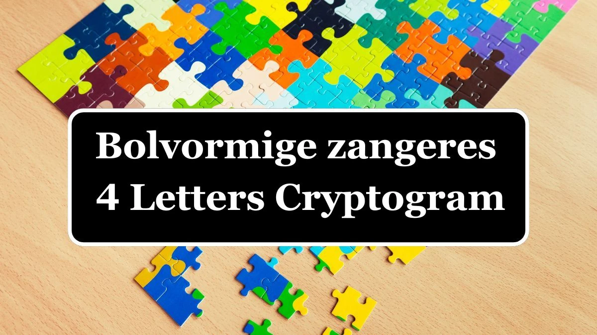 Bolvormige zangeres 4 Letters Cryptogram Puzzelwoordenboek kruiswoordpuzzels