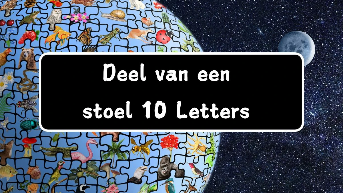 Deel van een stoel 10 Letters Puzzelwoord