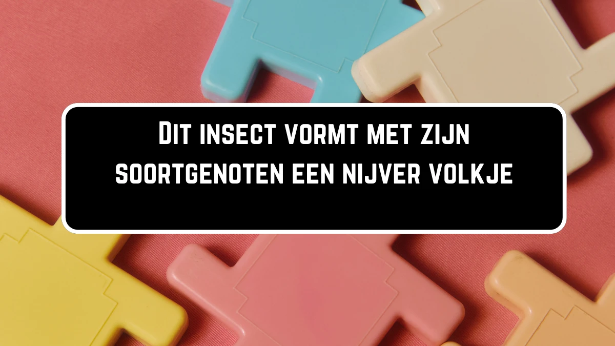 Dit insect vormt met zijn soortgenoten een nijver volkje 4 Letters Puzzelwoordenboek kruiswoordpuzzels