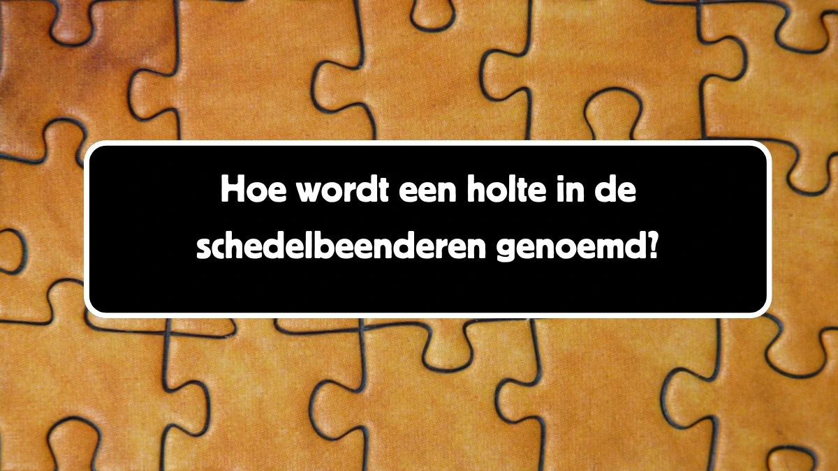 Hoe wordt een holte in de schedelbeenderen genoemd? 5 Letters Puzzelwoord