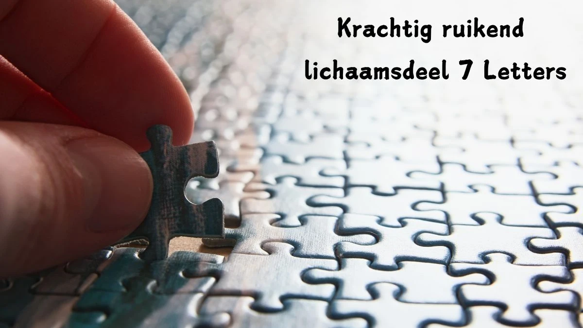 Krachtig ruikend lichaamsdeel 7 Letters Puzzelwoordenboek kruiswoordpuzzels