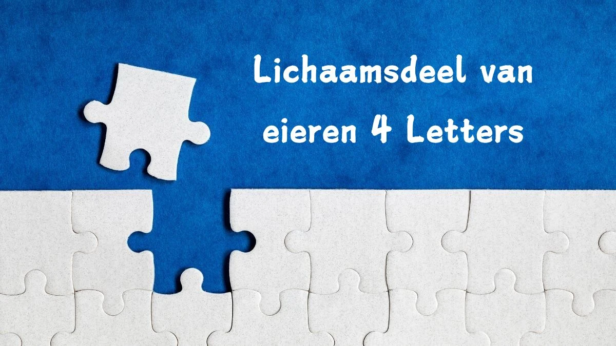 Lichaamsdeel van eieren 4 Letters Cryptogrammen