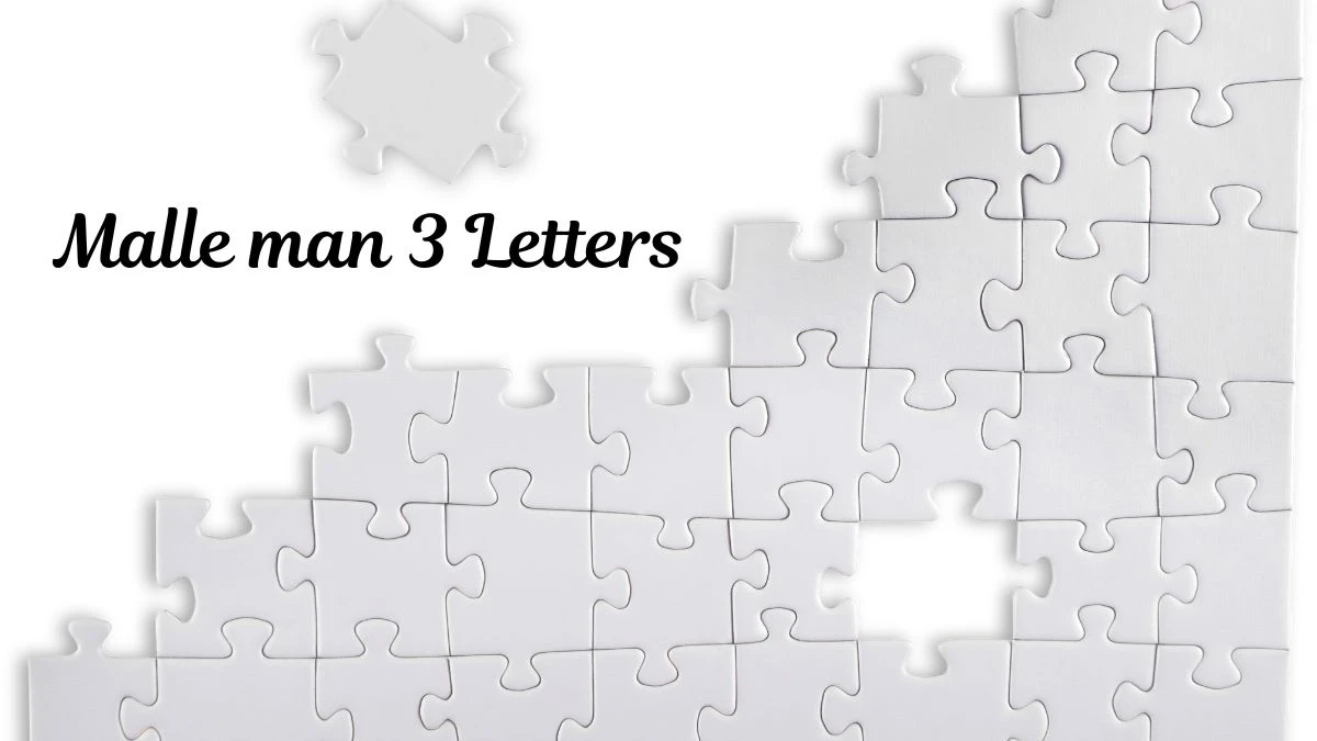 Malle man (3) Letters Puzzelwoordenboek kruiswoordpuzzels