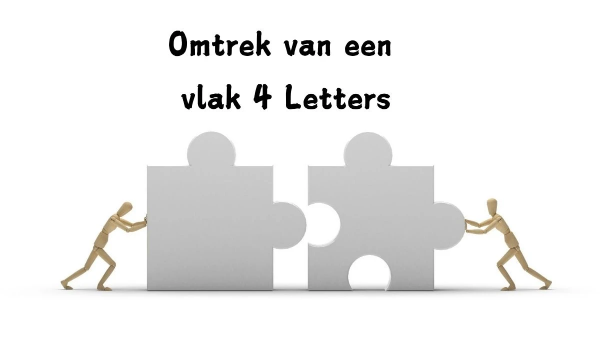 Omtrek van een vlak 4 Letters Puzzelwoord