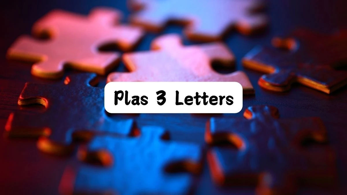 Plas 3 Letters Puzzelwoordenboek kruiswoordpuzzels