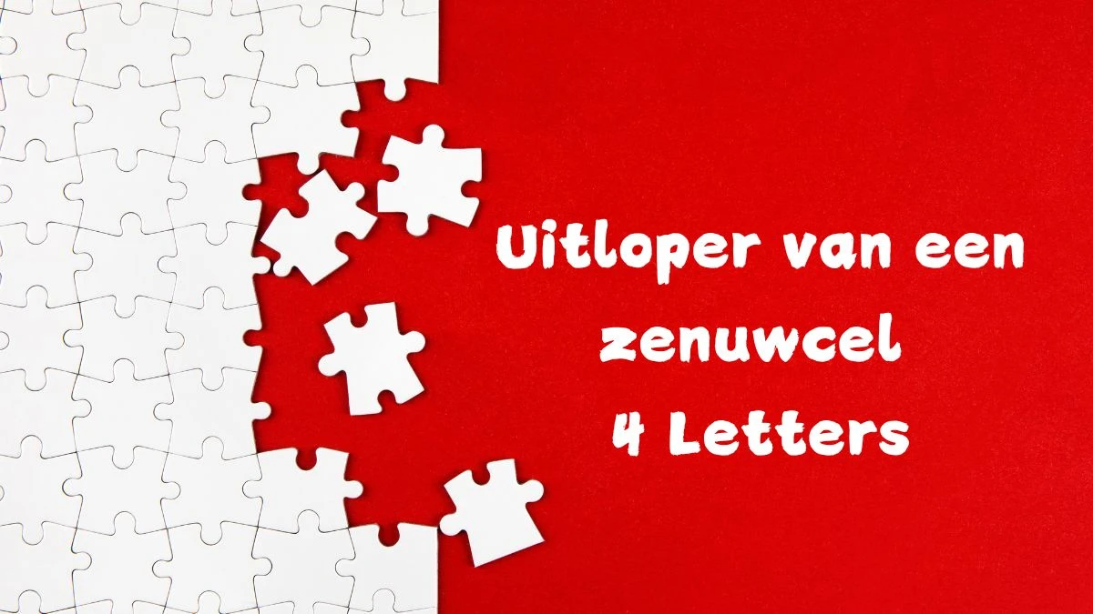 Uitloper van een zenuwcel 4 Letters Puzzelwoordenboek kruiswoordpuzzels