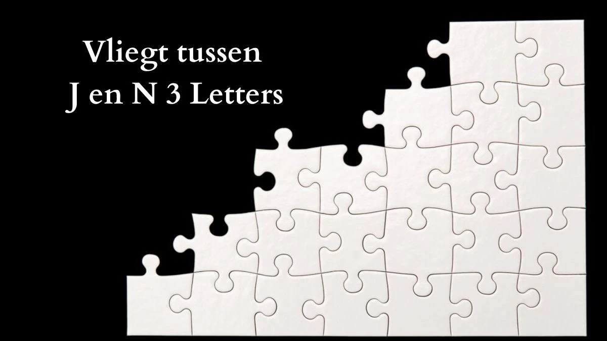 Vliegt tussen J en N 3 Letters Puzzelwoord