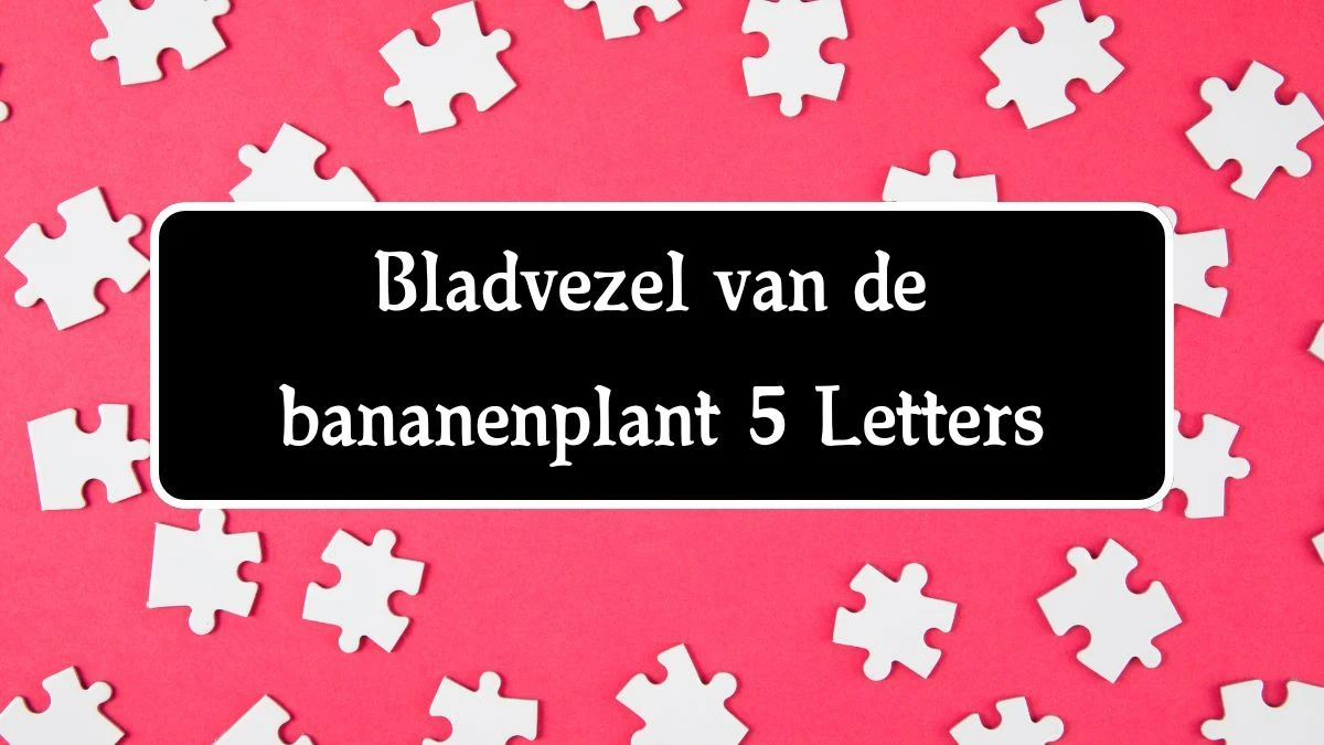 Bladvezel van de bananenplant 5 Letters