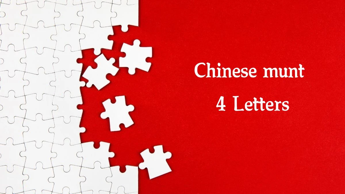 Chinese munt 4 Letters Puzzelwoord