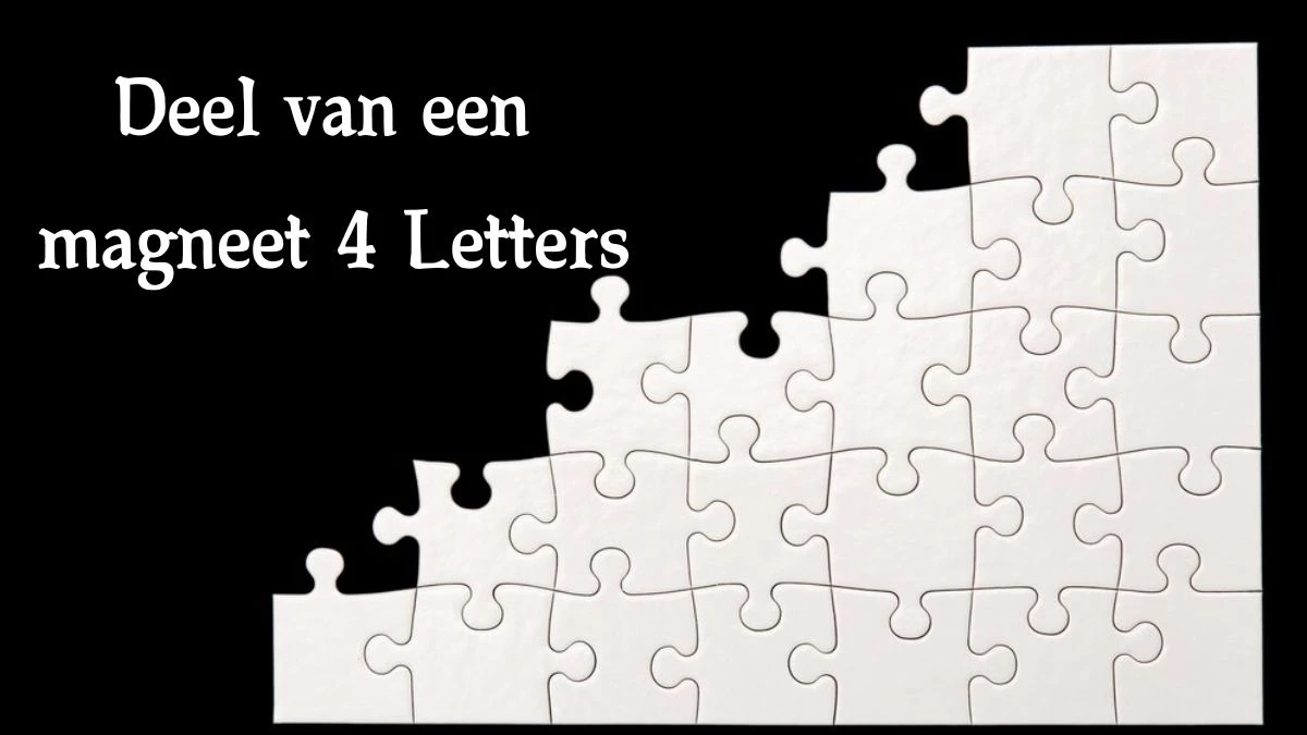 Deel van een magneet 4 Letters