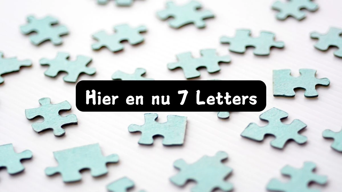 Hier en nu 7 Letters