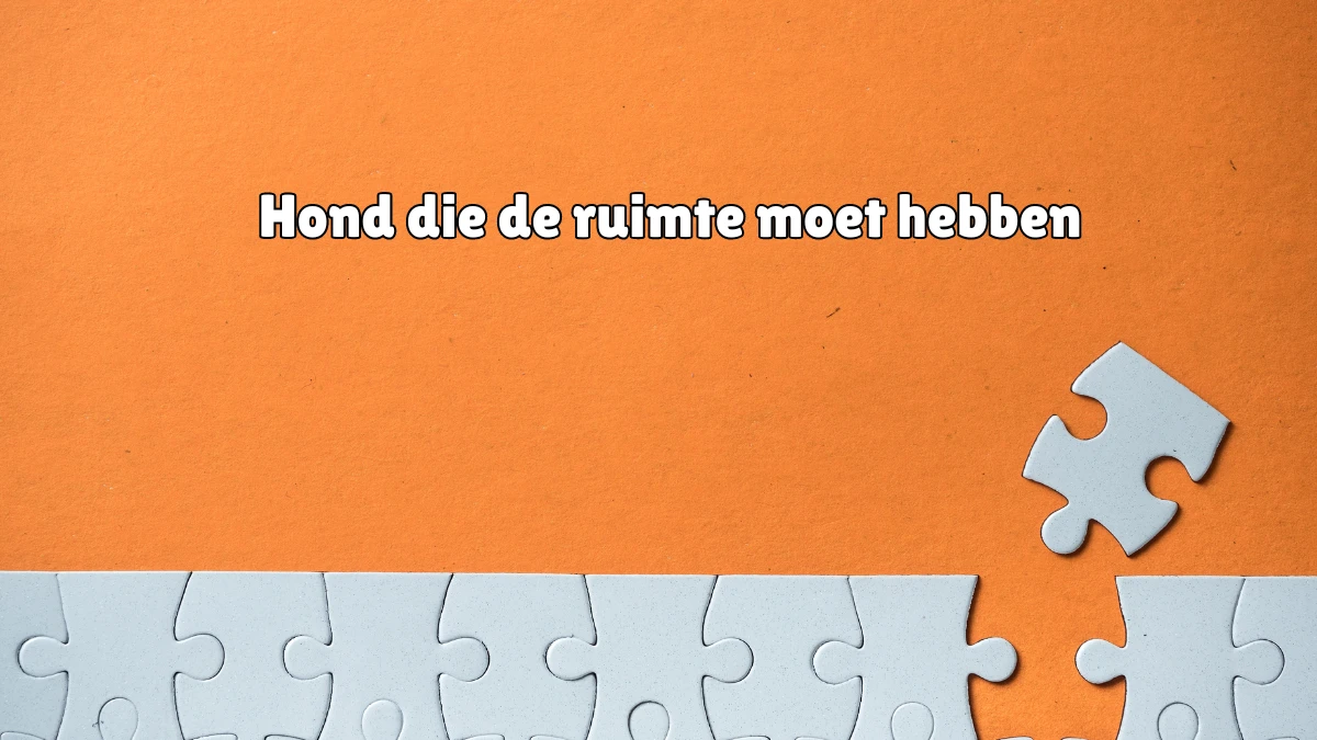 Hond die de ruimte moet hebben 5 Letters Puzzelwoord