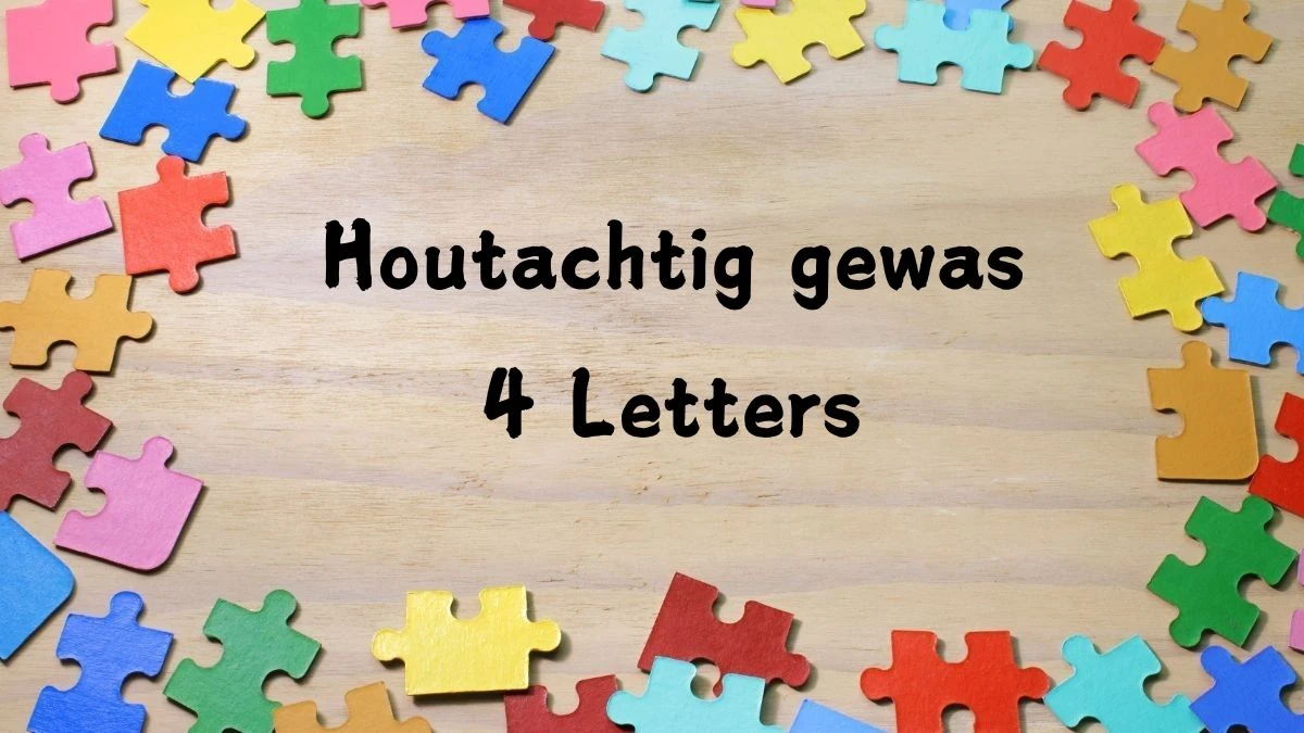 Houtachtig gewas 4 Letters