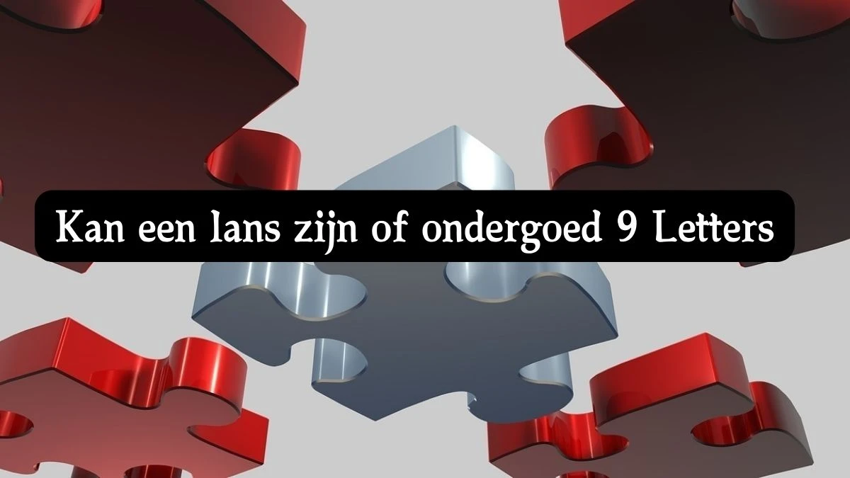 Kan een lans zijn of ondergoed 9 Letters Puzzelwoord