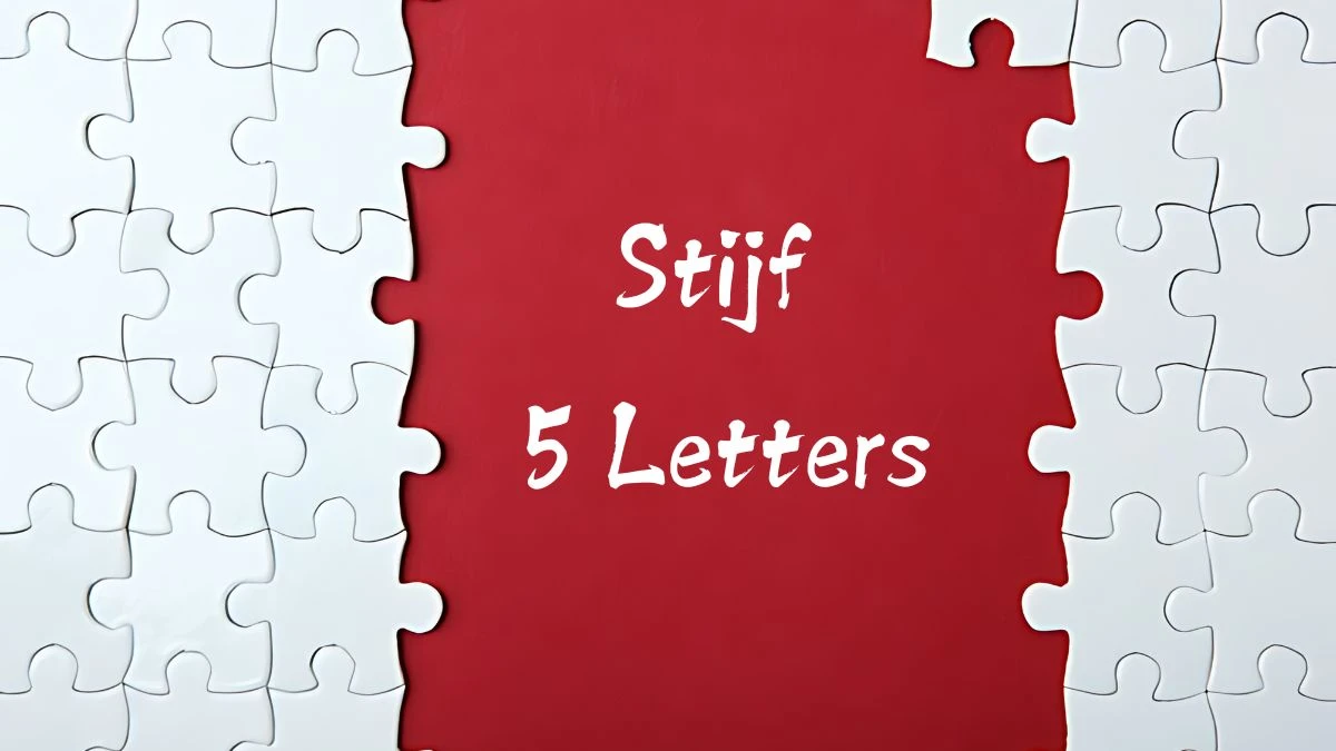 Stijf 5 Letters