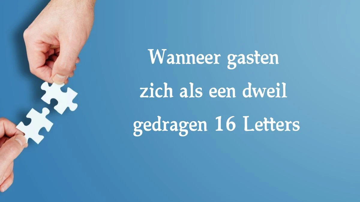 Wanneer gasten zich als een dweil gedragen 16 Letters