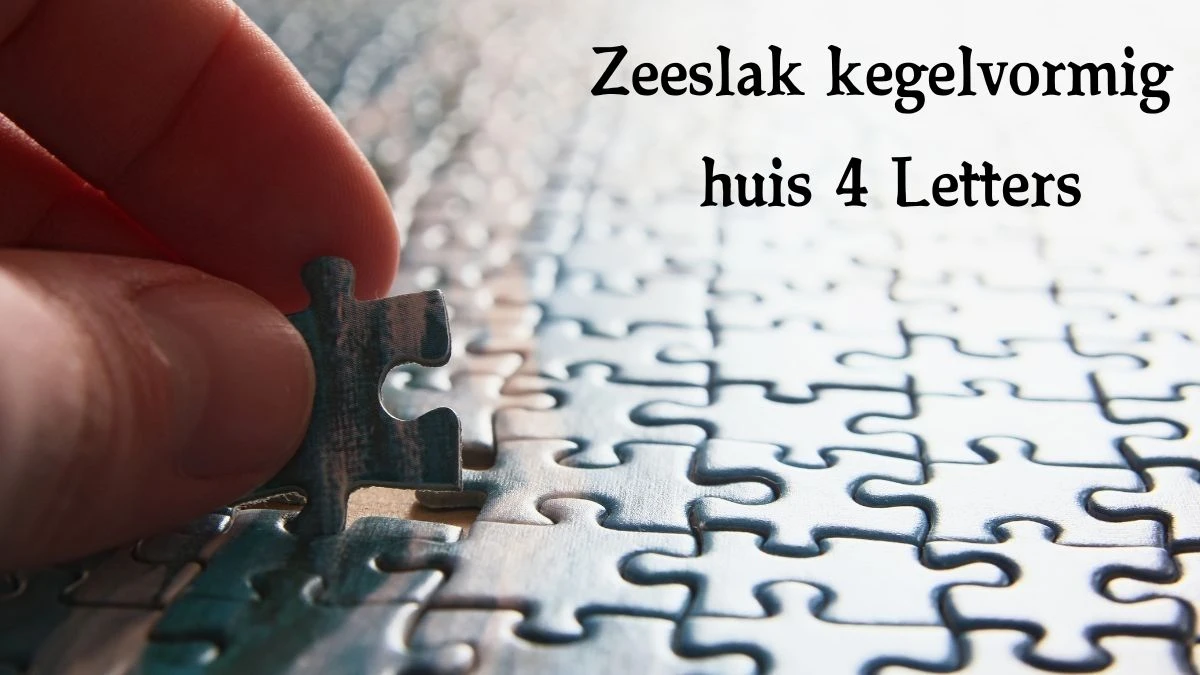 Zeeslak kegelvormig huis 4 Letters