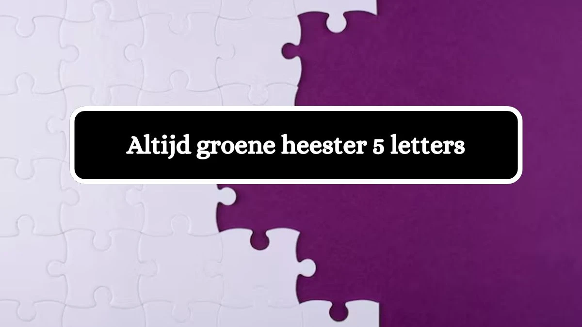 Altijd groene heester 5 Letters