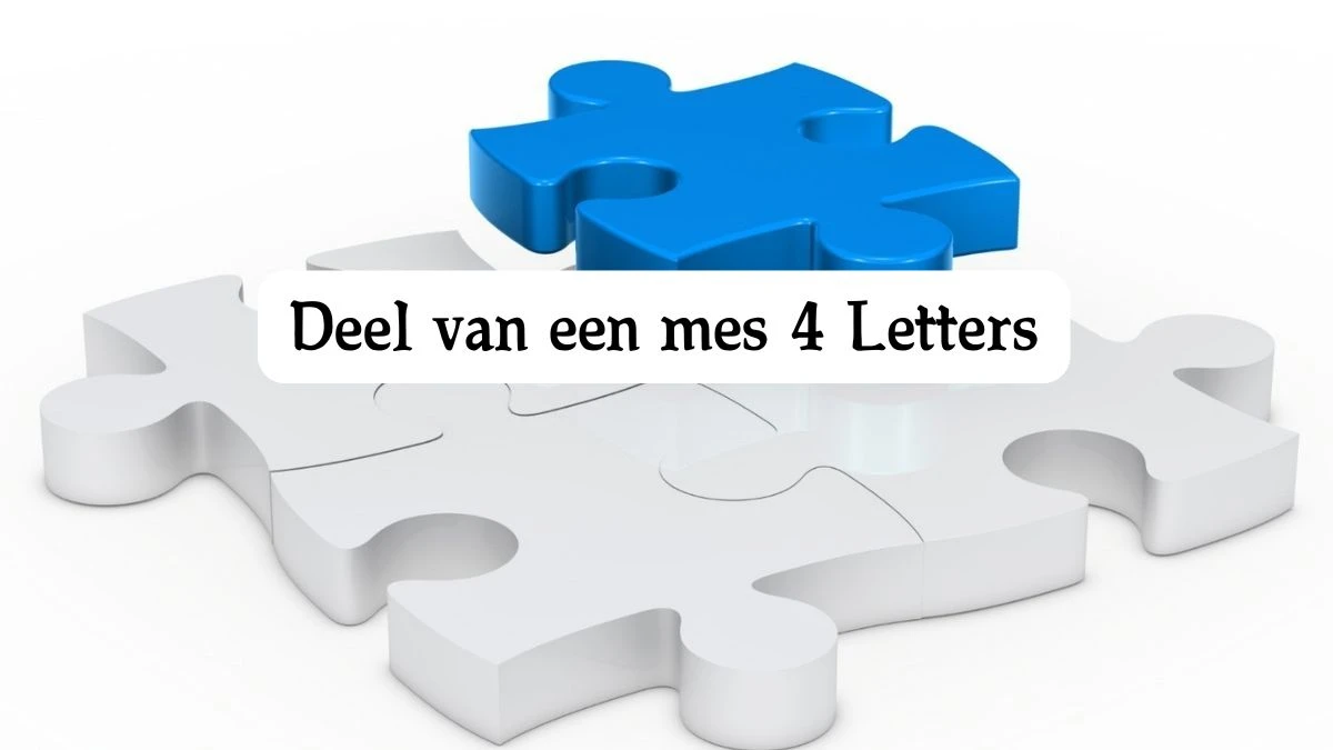 Deel van een mes 4 Letters