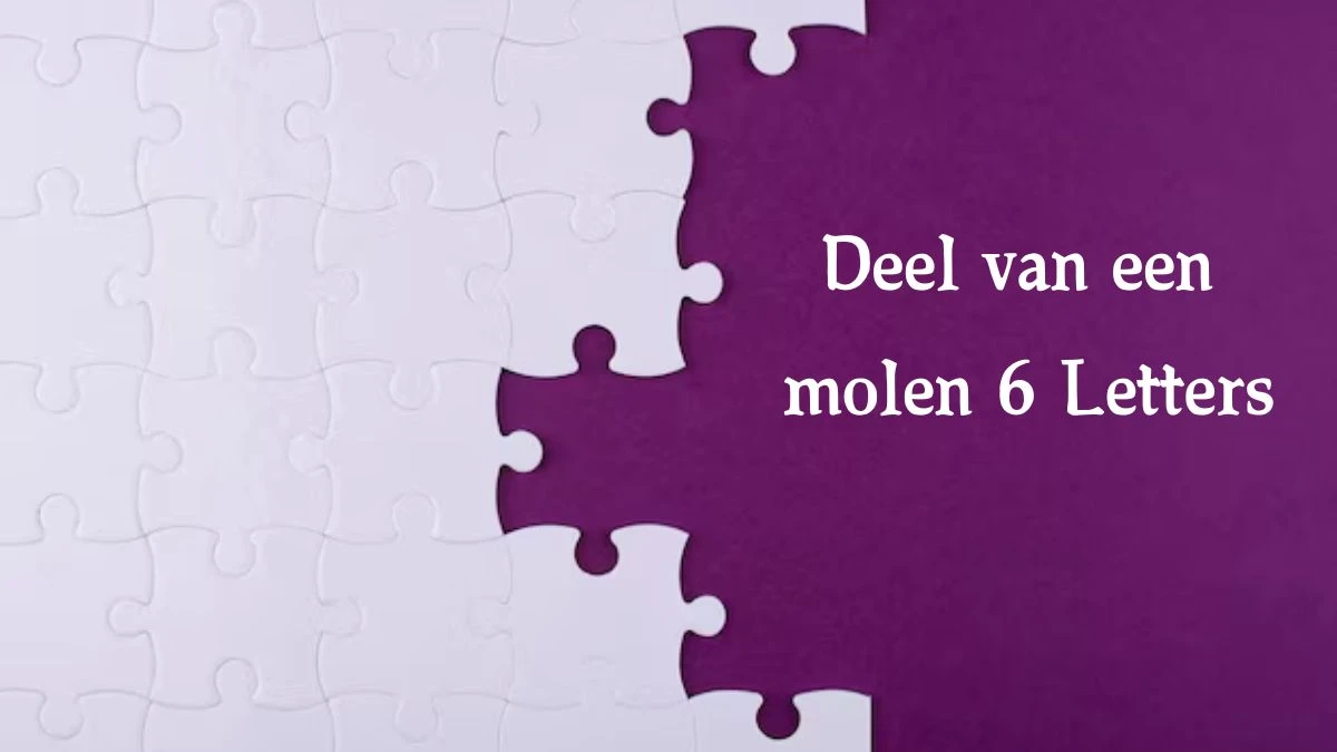 Deel van een molen 6 Letters