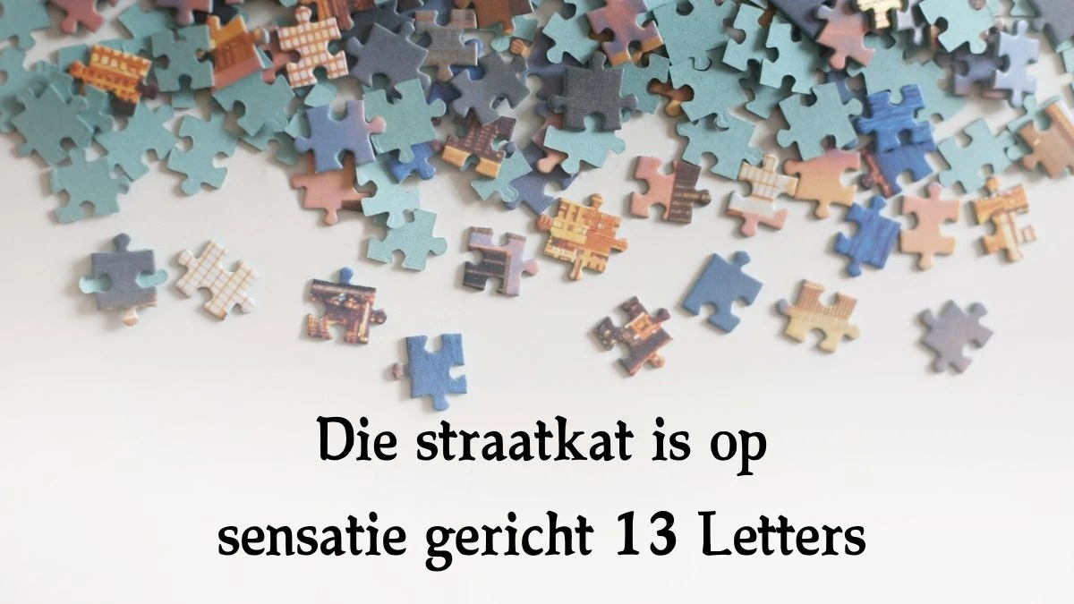 Die straatkat is op sensatie gericht 13 Letters