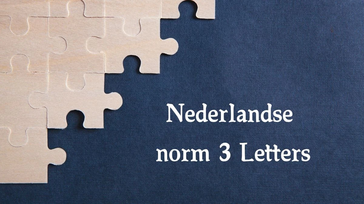 Nederlandse norm 3 Letters