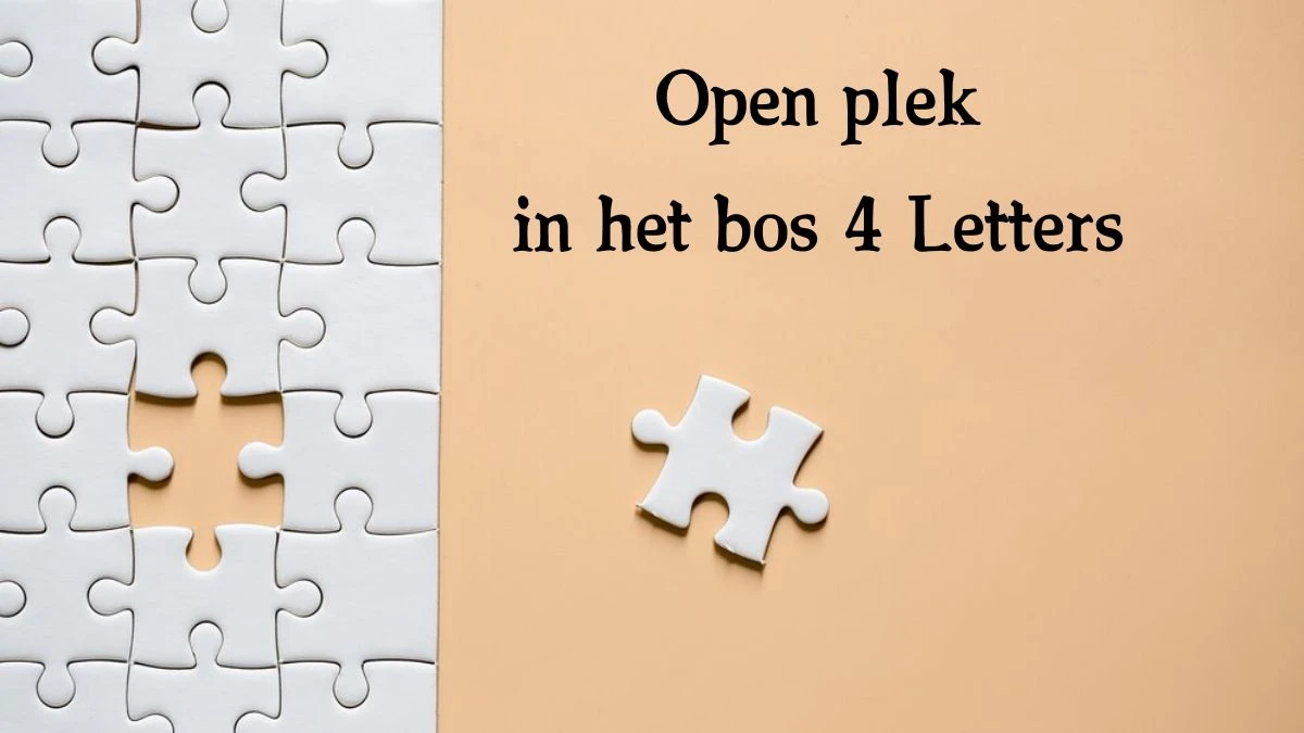 Open plek in het bos 4 Letters