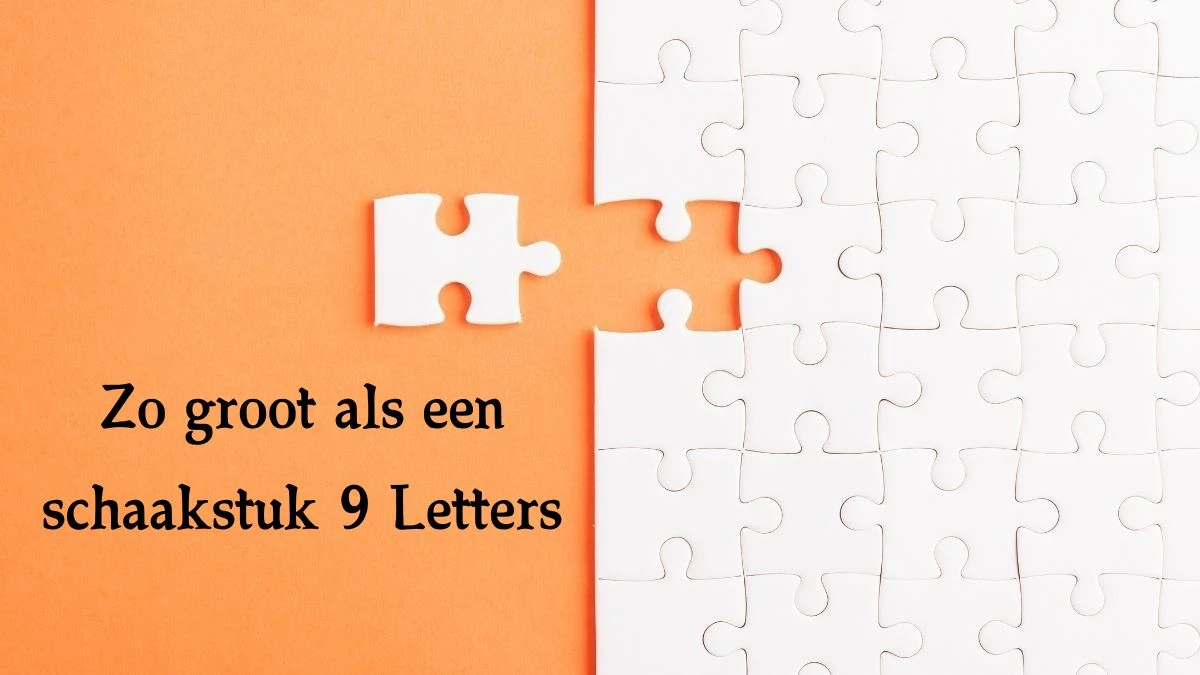 Zo groot als een schaakstuk 9 Letters Cryptogrammen