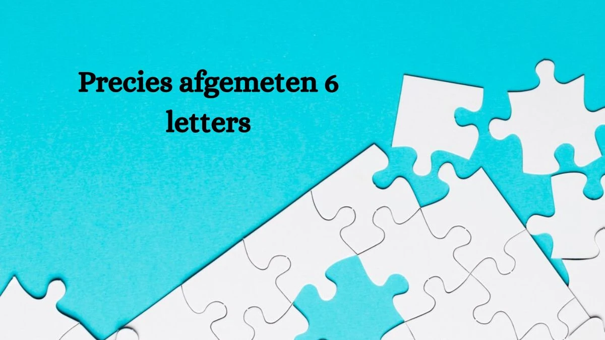 Precies afgemeten 6 Letters