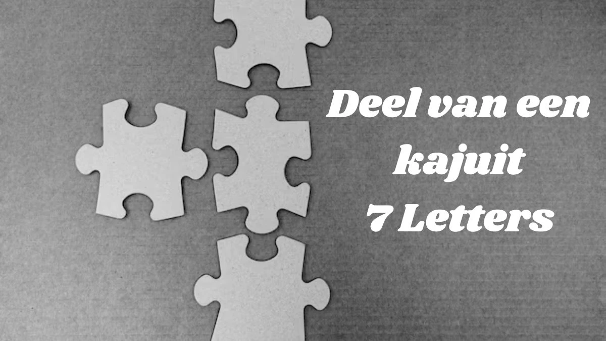 Deel van een kajuit 7 Letters