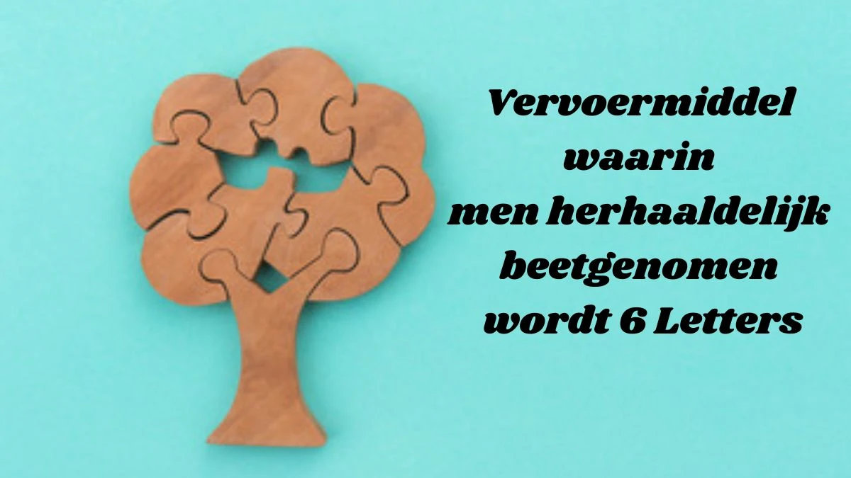 Vervoermiddel waarin men herhaaldelijk beetgenomen wordt 6 Letters