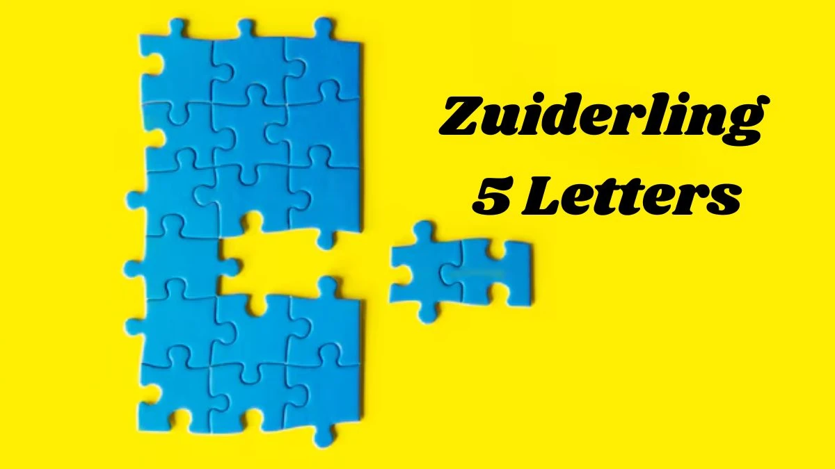 Zuiderling 5 Letters